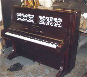 free email consultation